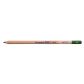 Bruynzeel Design Pastel Pencil Sap Green 96