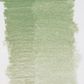Bruynzeel Design Pastel Pencil Sap Green 96