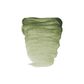 Rembrandt Watercolour 10ml - 629 - Green Earth S1