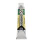 Rembrandt Watercolour 20ml - 675 - Phthalo Green S2