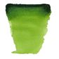 Van Gogh Watercolour Half Pan - 623 - Sap Green