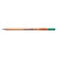 Bruynzeel Design Coloured Pencil 62 Dark Leafgreen
