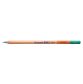 Bruynzeel Design Coloured Pencil 62 Dark Leafgreen