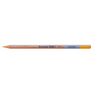Bruynzeel Design Aquarel Pencil Deep Yellow 22