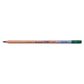 Bruynzeel Design Aquarel Pencil Dark Green 61