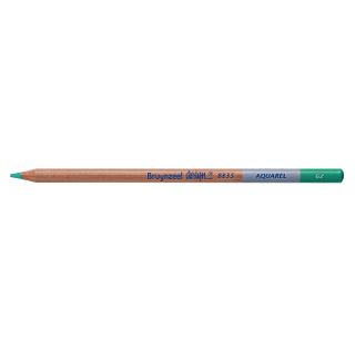 Bruynzeel Design Aquarel Pencil Dark Leafgreen 62