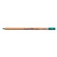 Bruynzeel Design Pastel Pencil Leaf Green 69