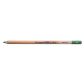 Bruynzeel Design Pastel Pencil Dark Leafgreen 62