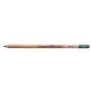 Bruynzeel Design Pastel Pencil Dark Leafgreen 62