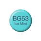 Copic Ink BG53 - Ice Mint 12ml