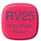 Copic Marker RV25-Dog Rose Flower