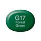 Copic Sketch G17-Forest Green