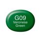 Copic Sketch G09-Veronese Green