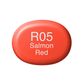 Copic Sketch R05-Salmon Red