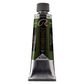 Rembrandt Oil 150ml - 623 - Sap Green S2