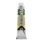 Rembrandt Watercolour 20ml - 645 - Hooker Green Deep S2