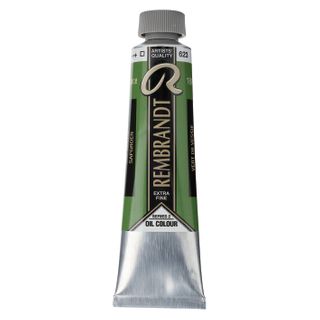 Rembrandt Oil 40ml - 623 - Sap Green S2