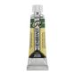 Rembrandt Watercolour 10ml - 645 - Hooker Green Deep S2