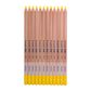 Bruynzeel Design Pastel Pencil Lemon Yellow 25