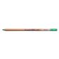 Bruynzeel Design Pastel Pencil Green 66