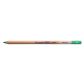 Bruynzeel Design Pastel Pencil Green 66