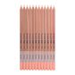 Bruynzeel Design Pastel Pencil Titanium Buff 75