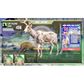 BBHR, Big Buck Reloaded 42in, Machine
