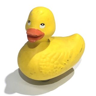 Duck for Ducky Splash