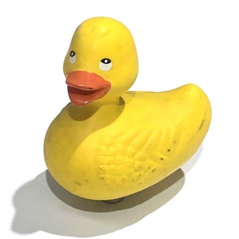 Duck for Ducky Splash