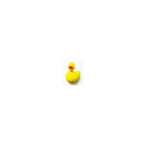 Duck for Ducky Splash