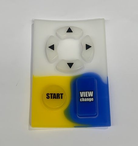 Initial D Input Switches