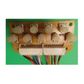 Pentranic Chassis