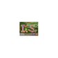 IGS PGM Dragon World II, China Dragon II Cartridge