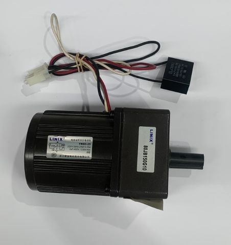 Motor L-R Dino Pop