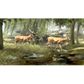 BBHD, Big Buck Panorama Reloaded - Pre-Owned
