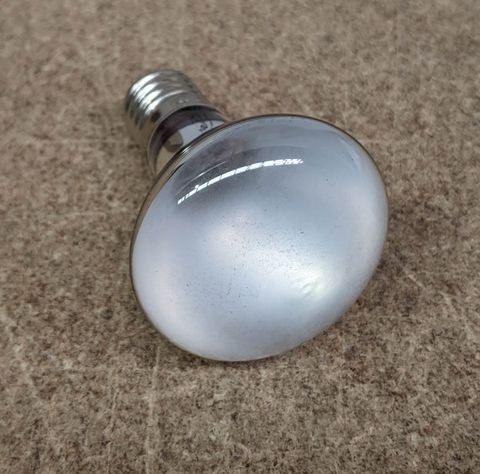 Globe ( Small) Race Leader - D