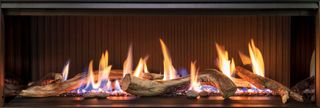 GAS FIRES