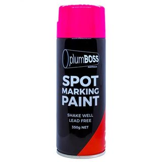 PAINT