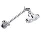 CLARK BASICS ROUND ADJUSTABLE SHOWER CHROME