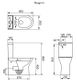 TIVOLI RIMLESS RAISED HEIGHT BACK TO WALL TOILET SUITE