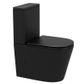 GARDA CC BTW MATT BLACK TOILET SUITE