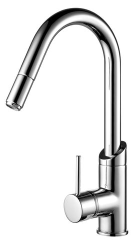 MINIMALIST GOOSENECK SINK MIXER WITH PULL OUT SPRAY